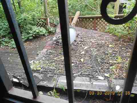 5381 Linsdale (13)_m.jpg